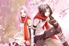 《宇智波佐助&春野樱》