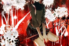 《96-Higanbana》